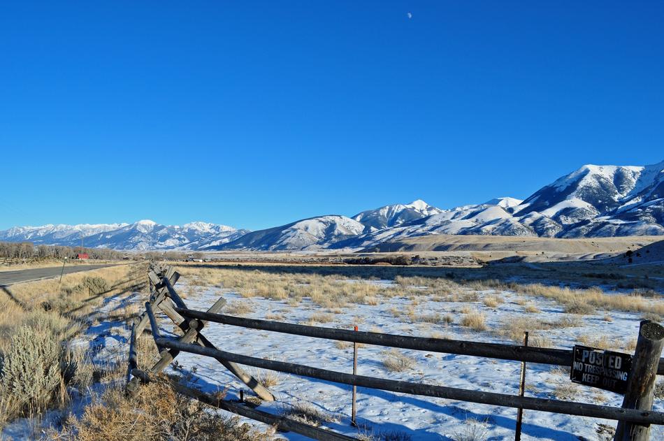 hedge on the absaroka mountain range