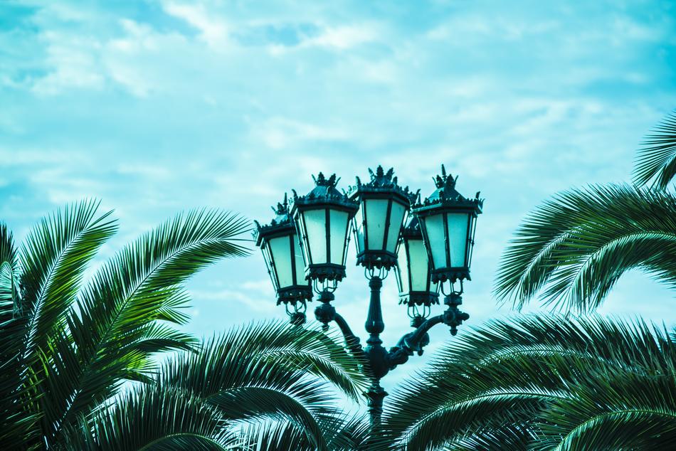 Street Lamp and Palms