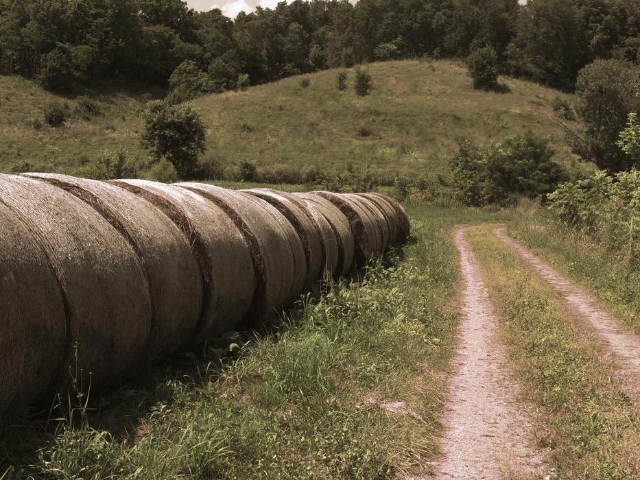 Photography of Hay Bails