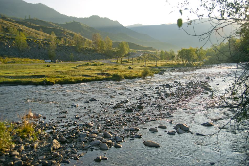 River at Morning in Altai