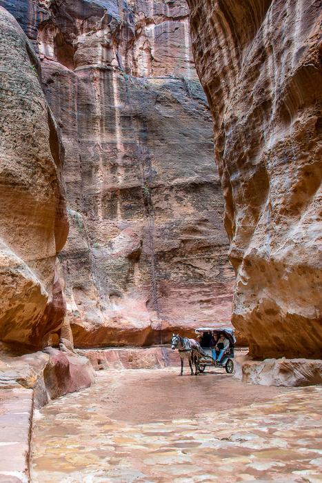 Jordan Petra Horse