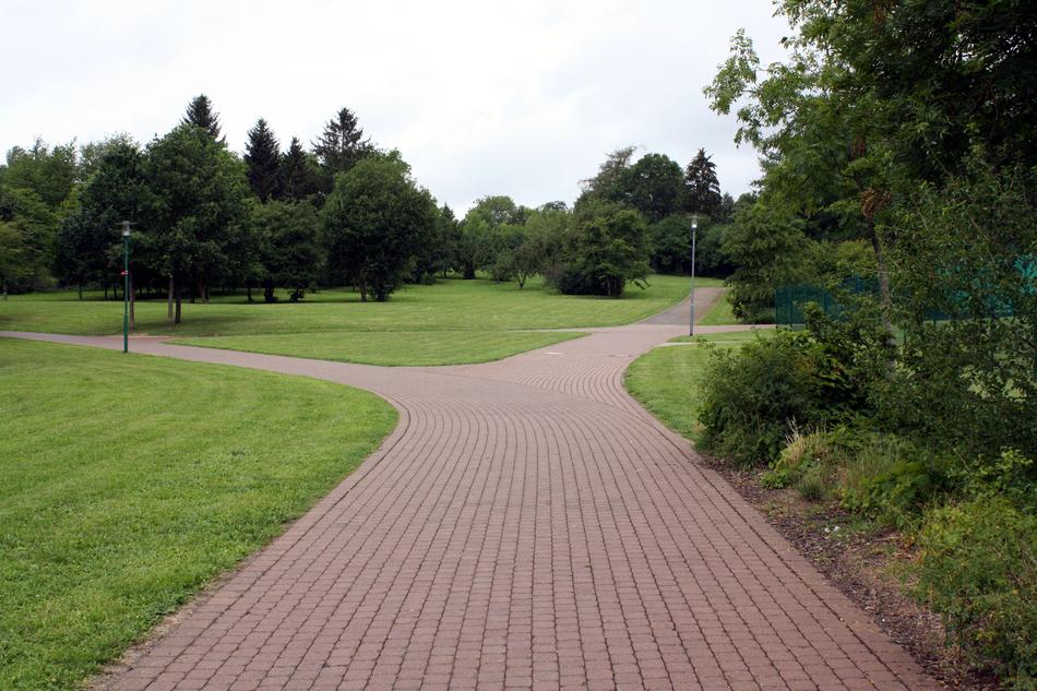 fork in the road in a green park