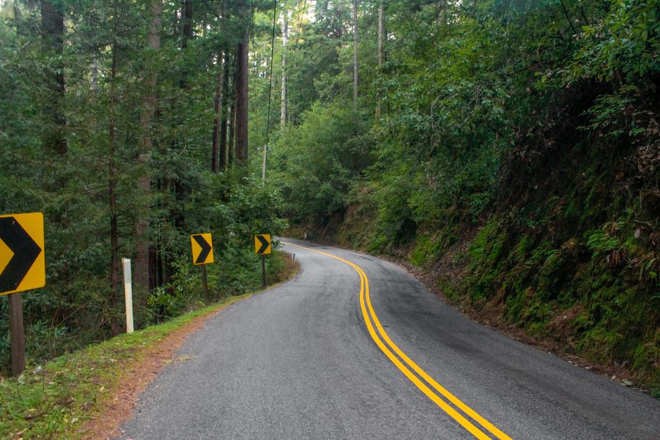 road near the forest in california