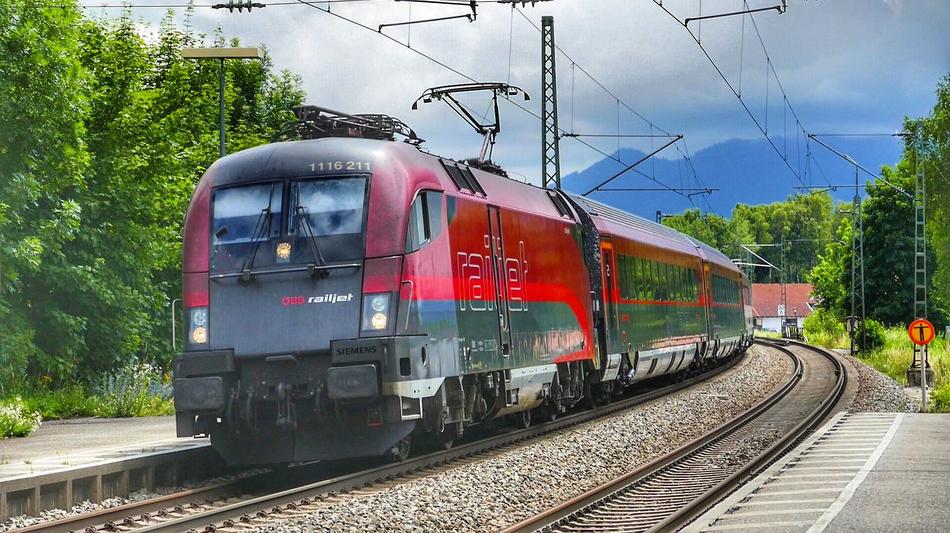 train on the railroad near the trees