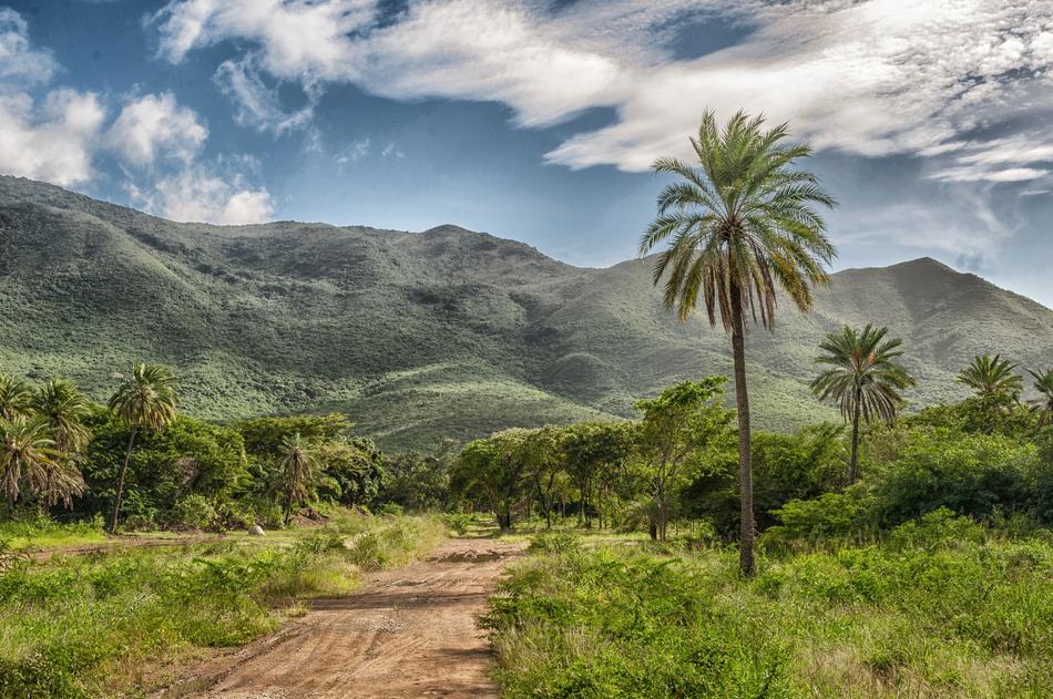 Beautiful and colorful landscape of Margarita, with plants and mountains