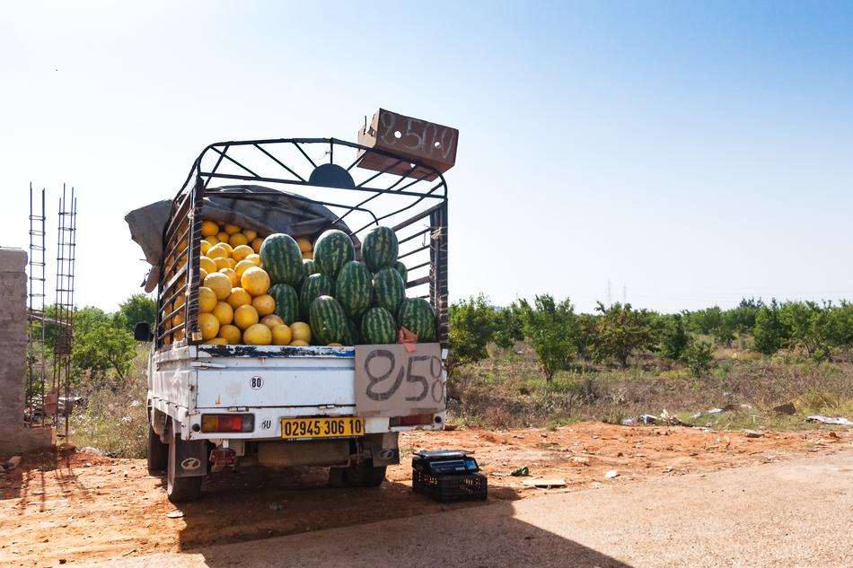 Road Tipaza Algeria