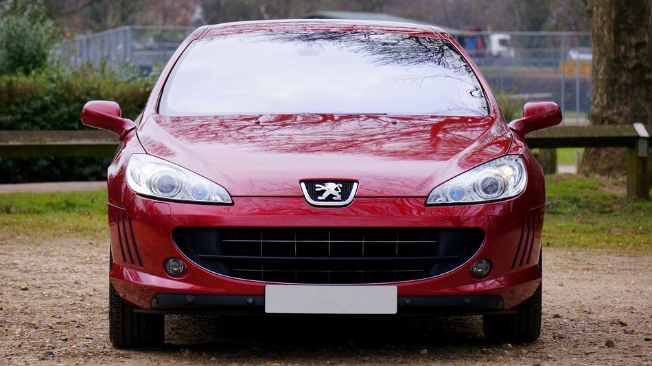red car peugeot in nature