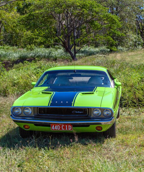 green Car Vehicle in countryside