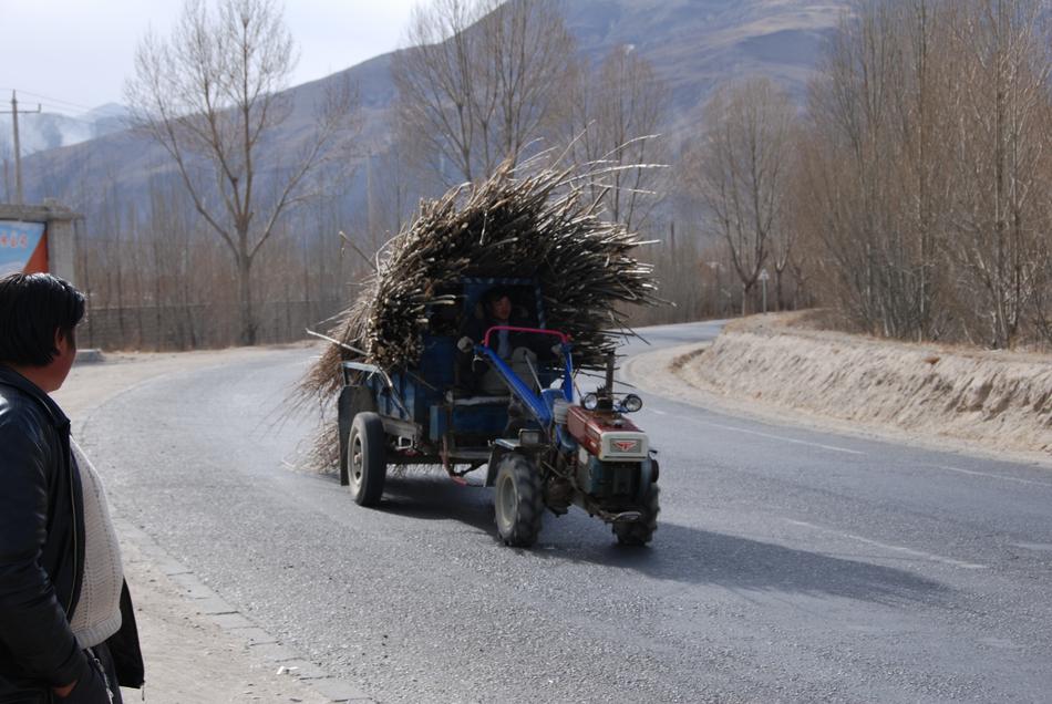 road in the tibetan forest