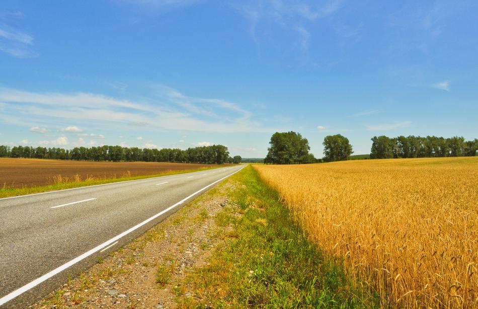 Agriculture Field Harvest landscape