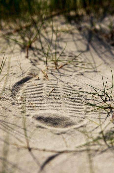 Close-up of the shoe print in sand, in sunlight, among the colorful grass