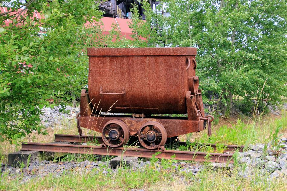 Close-up of the iron wagon, among the green plants