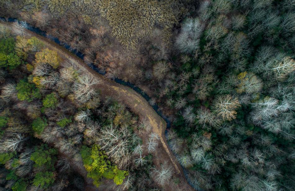 Aerial view with the river among the colorful and beautiful trees
