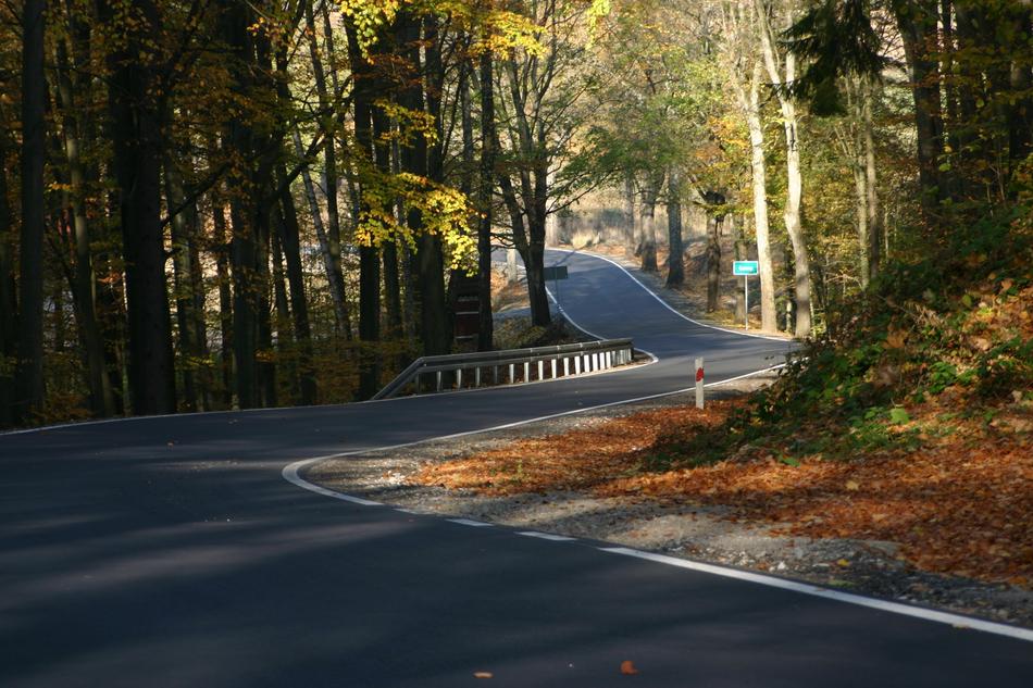 winding Way through forest at autumn