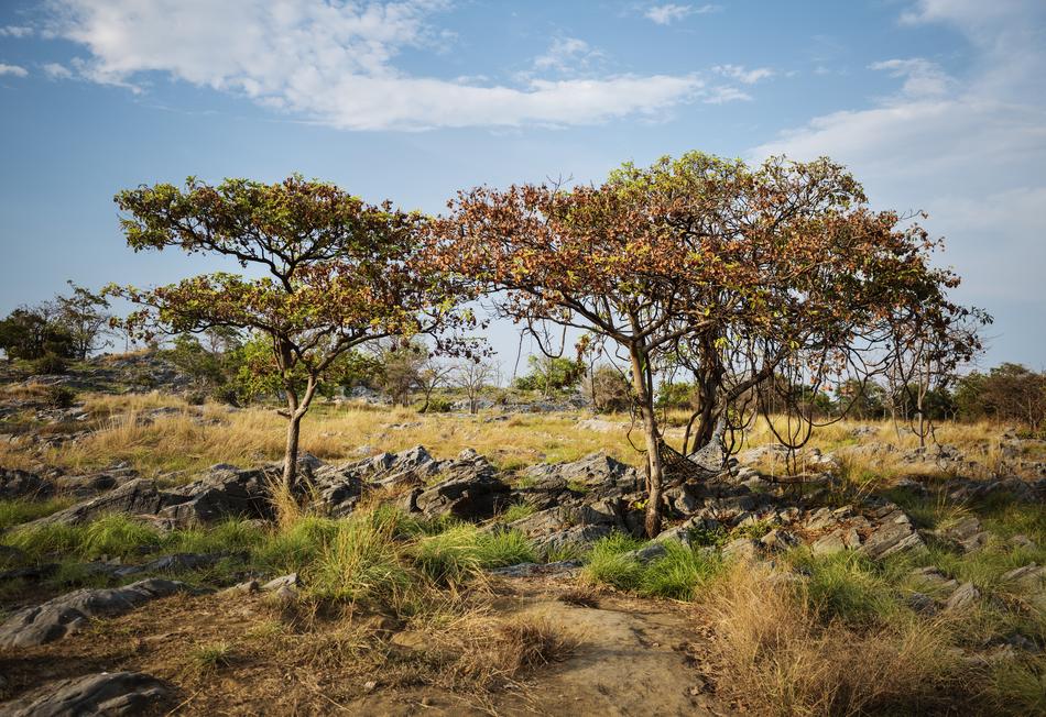 rural Calm Destination Expedition