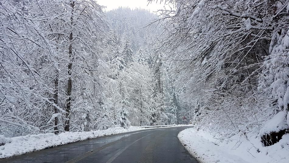 Mountain Road nature at Winter