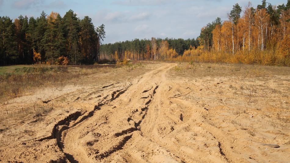 Landscape of the dirt road, among the colorful and beautiful autumn forest