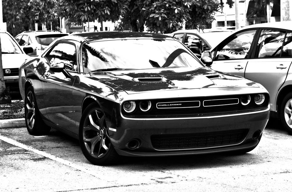 Hdr Monochrome Muscle