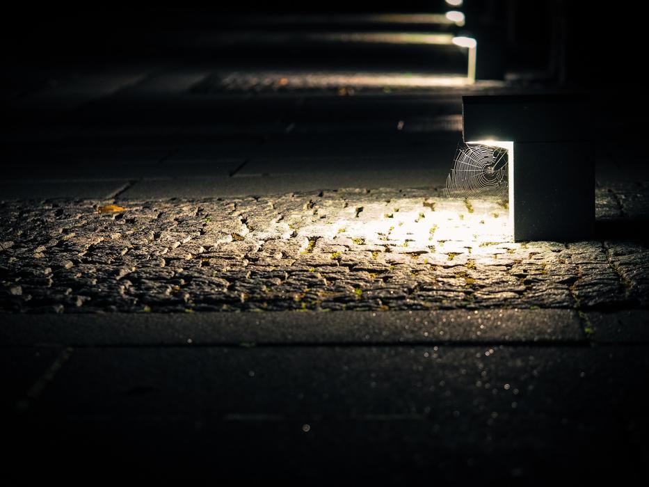 Lantern with cobweb near the other lanterns, on the pavement, among the darkness