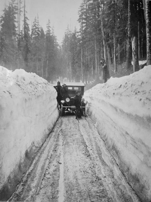 Washington Blizzard in Winter
