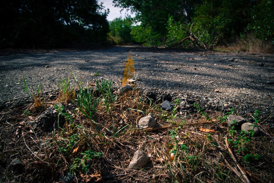 Road Stop Overgrown