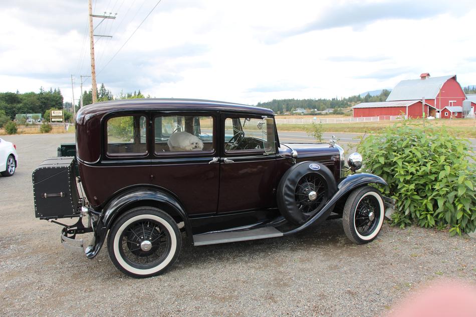 Ford Car Model