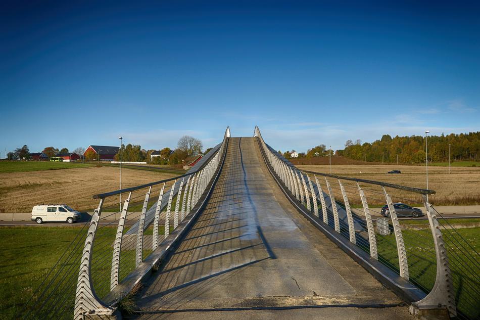 Bridge Landscape Architecture