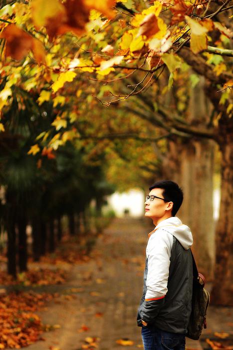 Autumn Street Photography