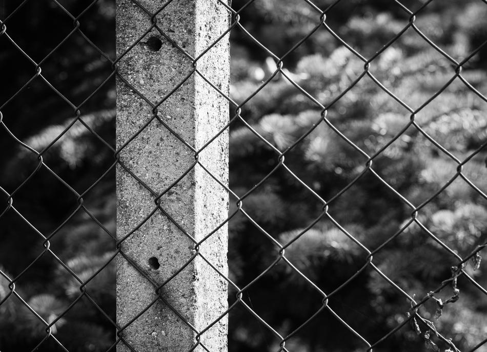 Fence Column Wire