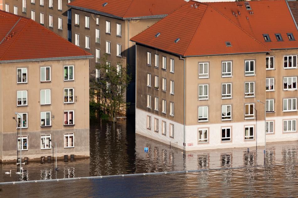 Climate Danger Disaster