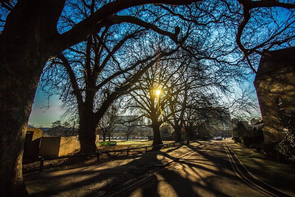 Reading England Shadows
