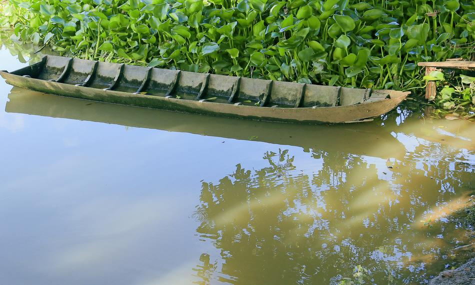 Vehicle Canoe Wood