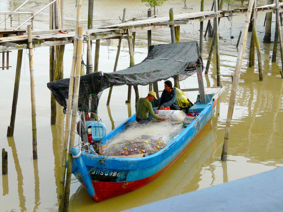 Fishing Fish Kukup