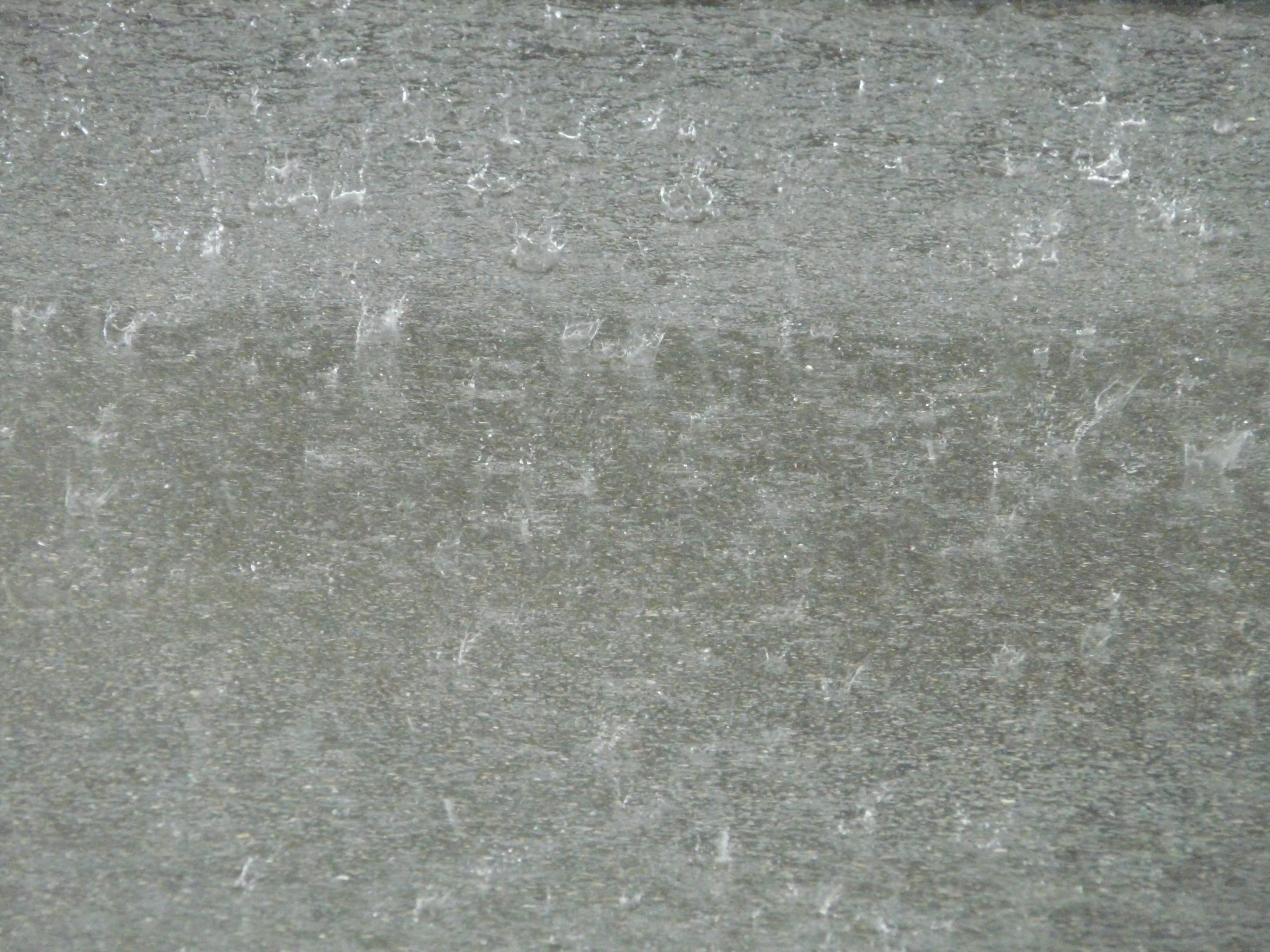Rainstorm Sleepforum - ebrktx0