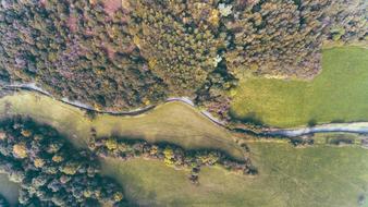 Aerial View Plants