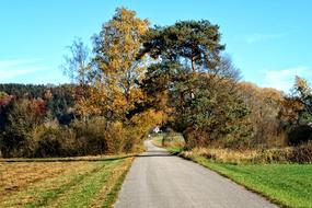 Trees Autumn Away