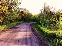 Road Spring Russia