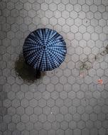 Raining Wet Street