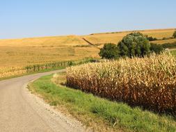 Landscape France Fields