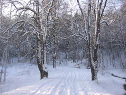 Snow Winter Road