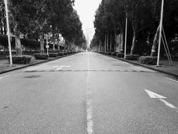 Symmetry Road In