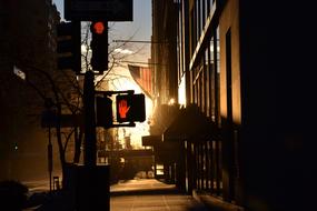 New York Sunset Light Traffik