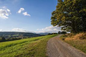 Lane Landscape Nature