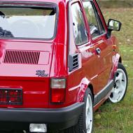 Small Fiat Toddler