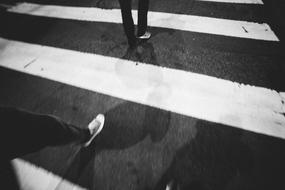 Crosswalk Street Pavement in city