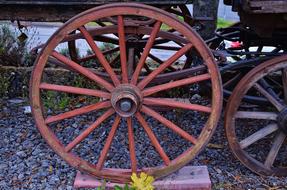 Horse Carrige Travel