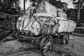 Wagon Wool Bales on farm