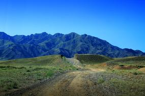 The Dirt Road Mountain Blue