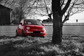 Fiat 500 Red car on road