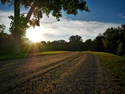 Nature Green Sunrise